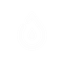 Dossly logo
